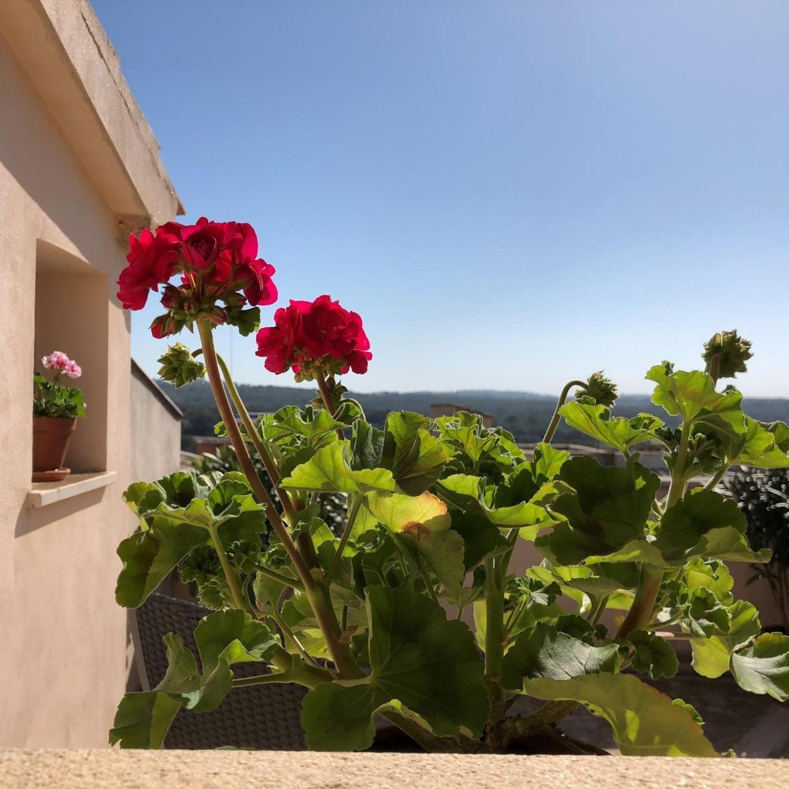 Vista De La Vila - Turismo De Interior. Llubí Pokoj fotografie
